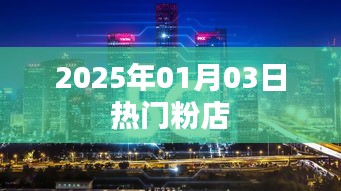 飞扬拨扈 第4页