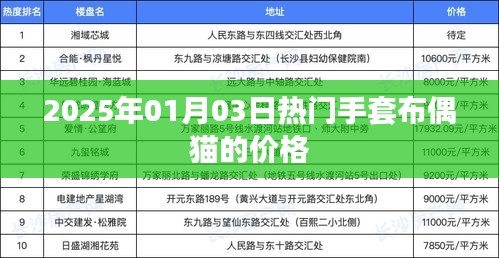 关于手套布偶猫的价格资讯,最新市场动态