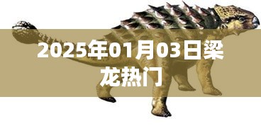 梁龙最新热门资讯,2025年1月3日动态