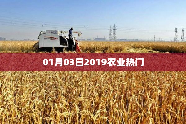 农业热门资讯速递,2019年1月3日动态更新