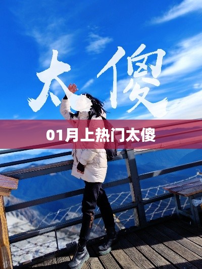 太傻!01月热门事件回顾