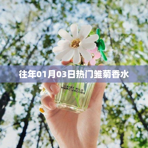 雏菊香水,历年一月三日大热之选