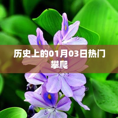热门攀爬事件,历史上的一月三日回顾