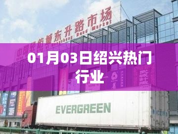 绍兴热门行业概览,最新动态与行业趋势(01月03日)