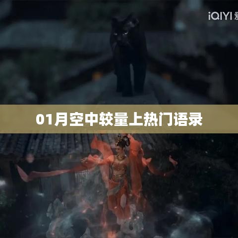 热门话题揭秘,一月空中较量经典语录回顾