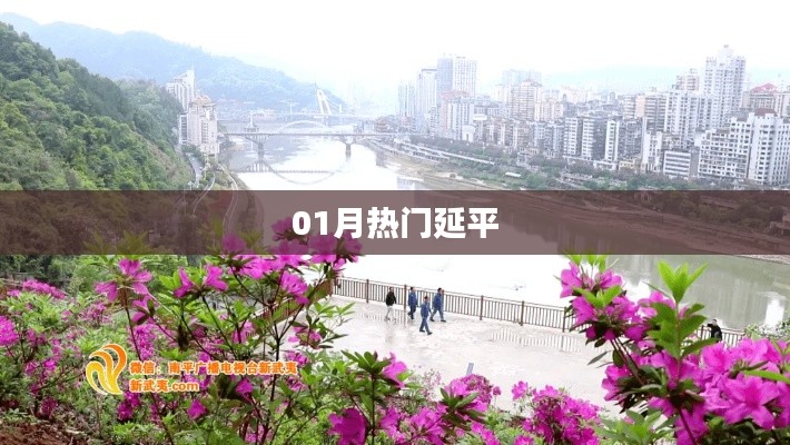 延平一月热门热点