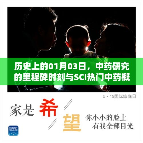 乌鸟之情 第3页