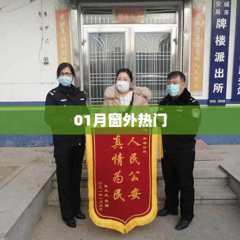 窗外新风尚,一月热门资讯速览