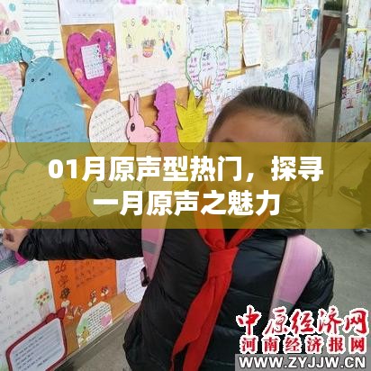 探寻一月原声魅力,热门原声型解析
