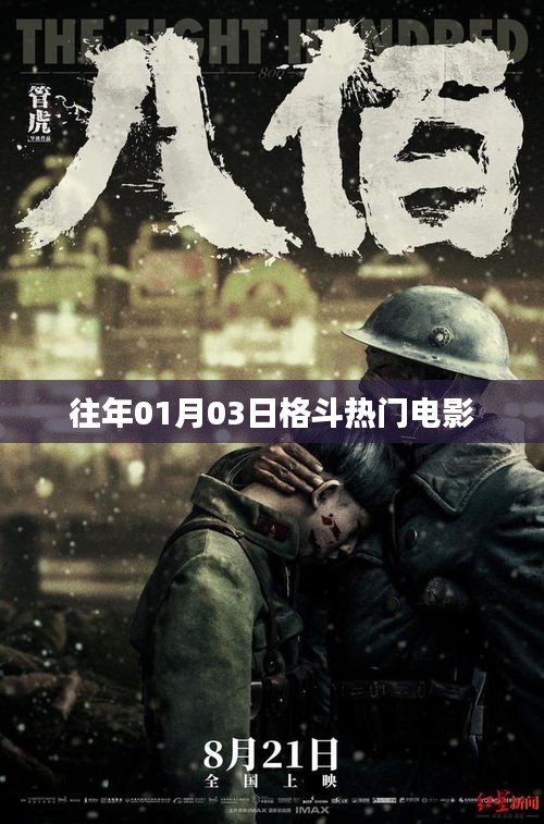 格斗热门电影回顾,历年一月三日必看之战