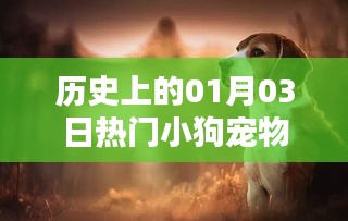 热门小狗宠物历史盘点,一月三日回顾