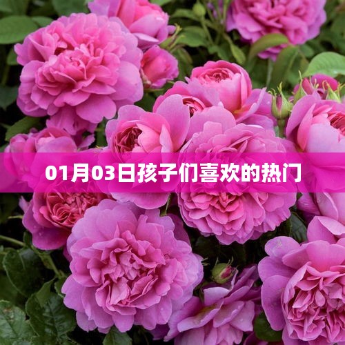 孩子们挚爱热门娱乐盘点(日期更新)