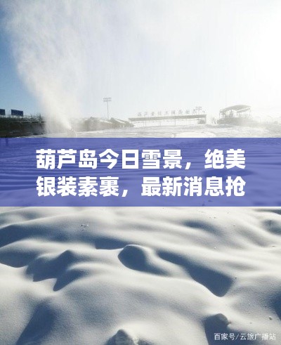 寥若晨星 第3页