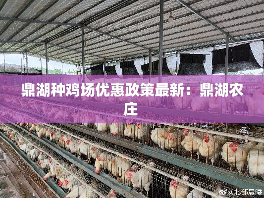 鼎湖种鸡场优惠政策最新:鼎湖农庄