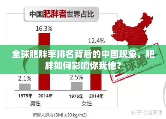 全球肥胖率排名背后的中国现象,肥胖如何影响你我他?