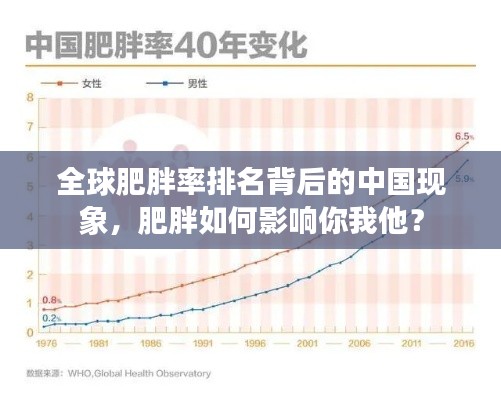 全球肥胖率排名背后的中国现象,肥胖如何影响你我他?