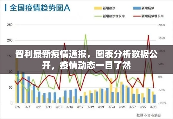 智利最新疫情通报,图表分析数据公开,疫情动态一目了然