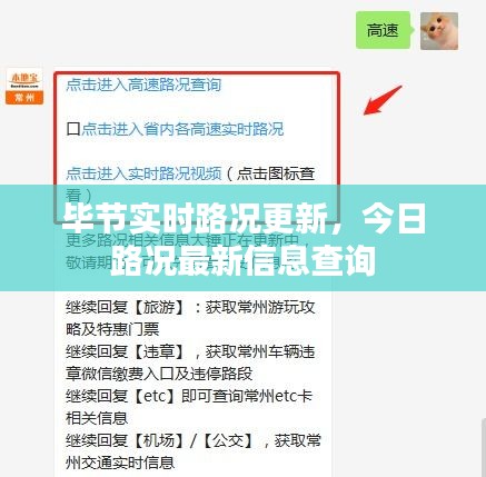 百鸟争鸣 第3页
