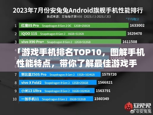 东张西望 第3页