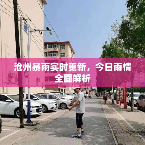 沧州暴雨实时更新,今日雨情全面解析