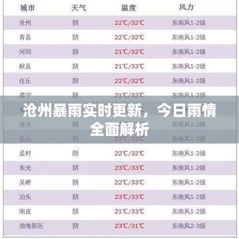 沧州暴雨实时更新,今日雨情全面解析