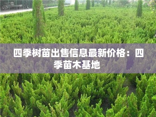 绰约多姿 第3页