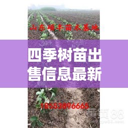 四季树苗出售信息最新价格:四季苗木基地