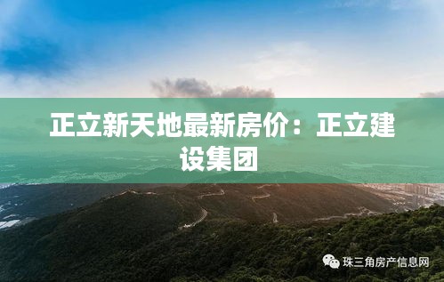 正立新天地最新房价:正立建设集团