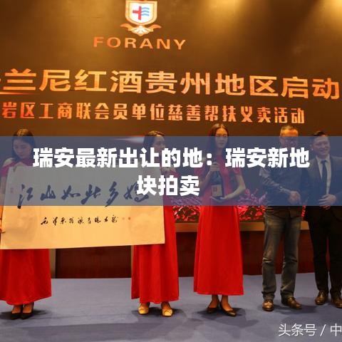 瑞安最新出让的地:瑞安新地块拍卖