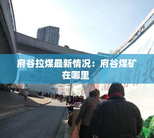 府谷拉煤最新情况:府谷煤矿在哪里