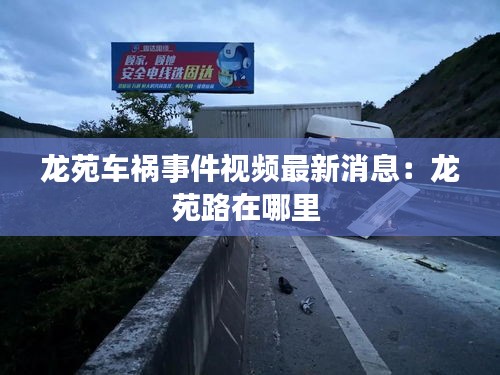 龙苑车祸事件视频最新消息:龙苑路在哪里