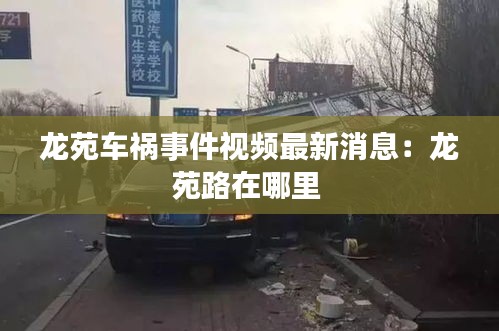龙苑车祸事件视频最新消息:龙苑路在哪里