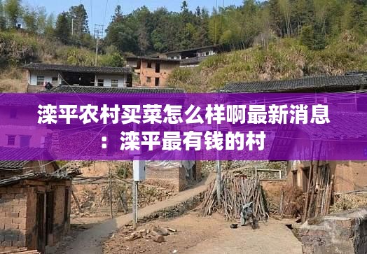 滦平农村买菜怎么样啊最新消息:滦平最有钱的村