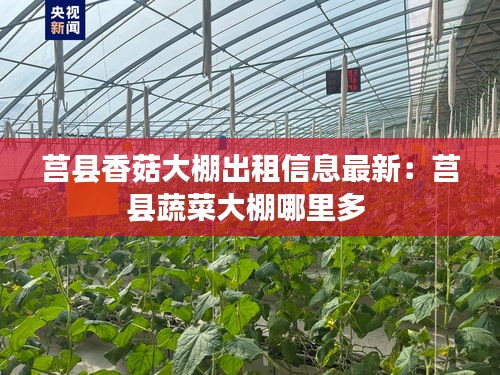 堂而皇之 第4页