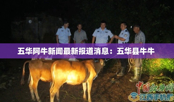 五华阿牛新闻最新报道消息:五华县牛牛