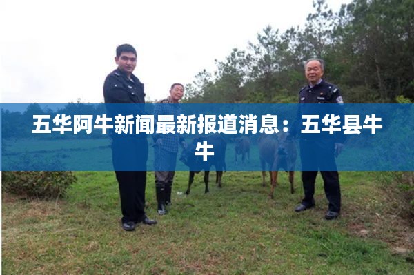 五华阿牛新闻最新报道消息:五华县牛牛