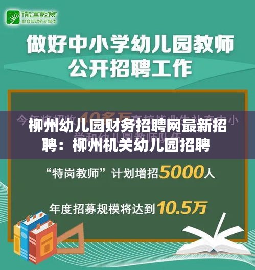 柳州幼儿园财务招聘网最新招聘:柳州机关幼儿园招聘