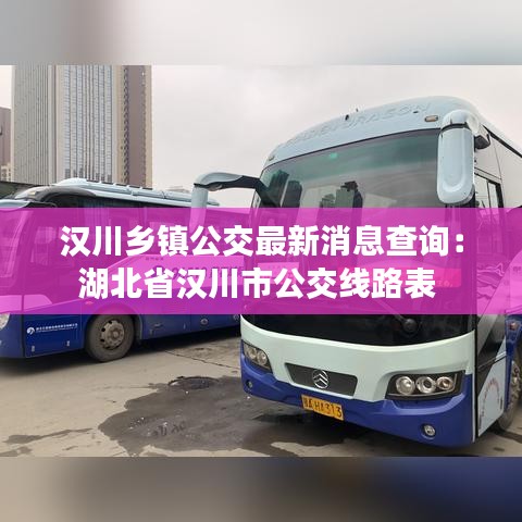 汉川乡镇公交最新消息查询:湖北省汉川市公交线路表