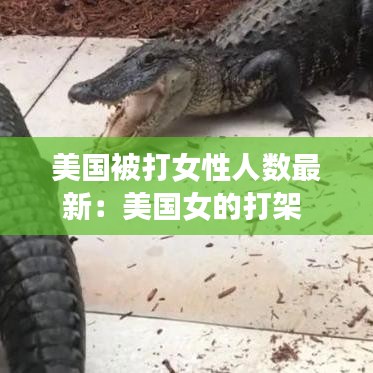 美国被打女性人数最新:美国女的打架