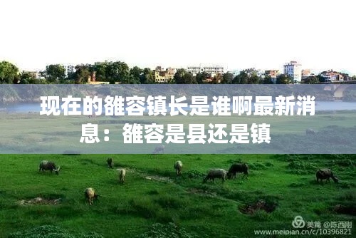 林下风气 第2页