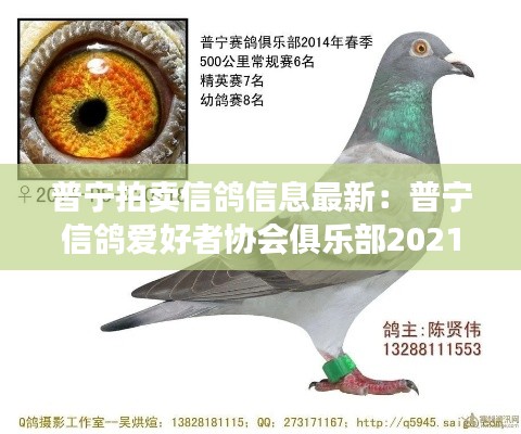 普宁拍卖信鸽信息最新:普宁信鸽爱好者协会俱乐部2021