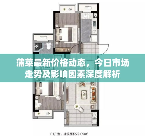 蒲菜最新价格动态,今日市场走势及影响因素深度解析
