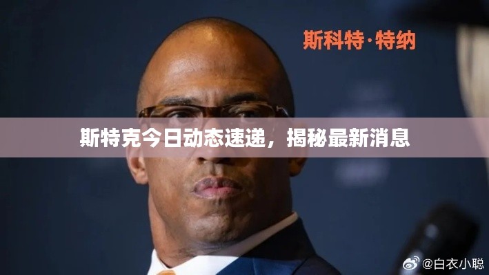 斯特克今日动态速递,揭秘最新消息