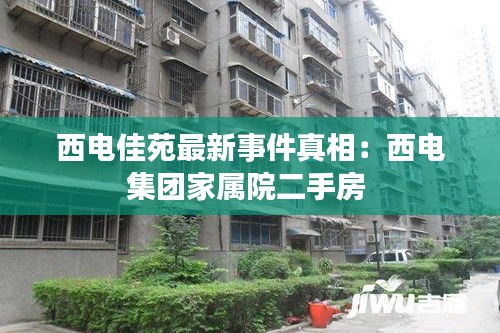 打张鸡儿 第3页