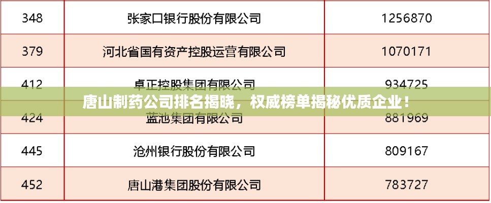 唐山制药公司排名揭晓，权威榜单揭秘优质企业！
