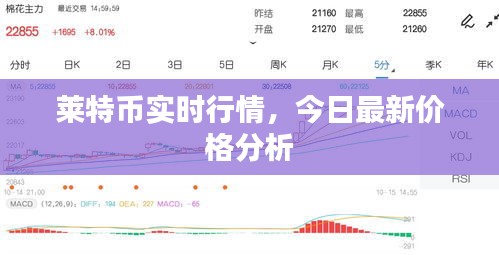 莱特币实时行情,今日最新价格分析