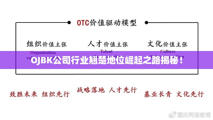 OJBK公司行业翘楚地位崛起之路揭秘!