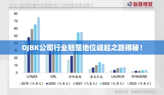 OJBK公司行业翘楚地位崛起之路揭秘!