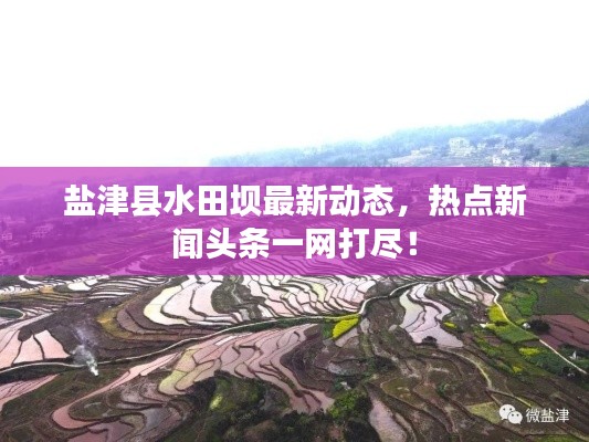 盐津县水田坝最新动态,热点新闻头条一网打尽!
