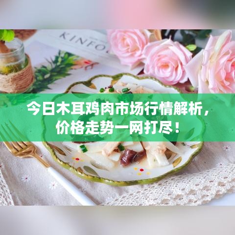 今日木耳鸡肉市场行情解析,价格走势一网打尽!